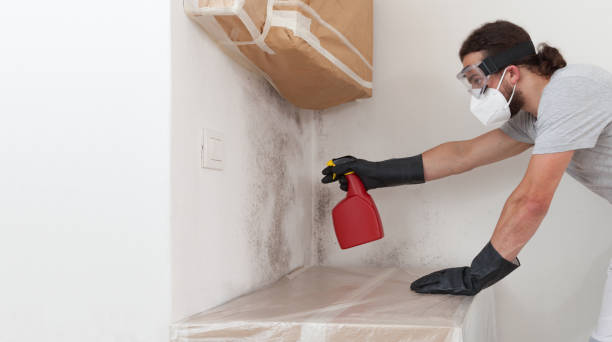 Professional Crawl Space Mold Removal technician working in Shelbyville, KY